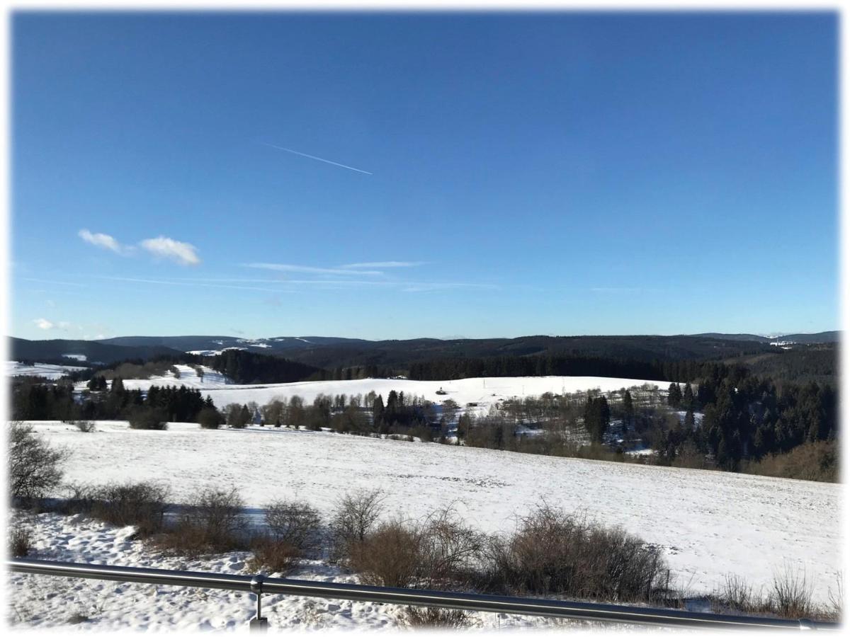 Ferienwohnung FUCHSBAU im EG des Ferienhauses Falkenhöhe Oberweißbach Exterior foto